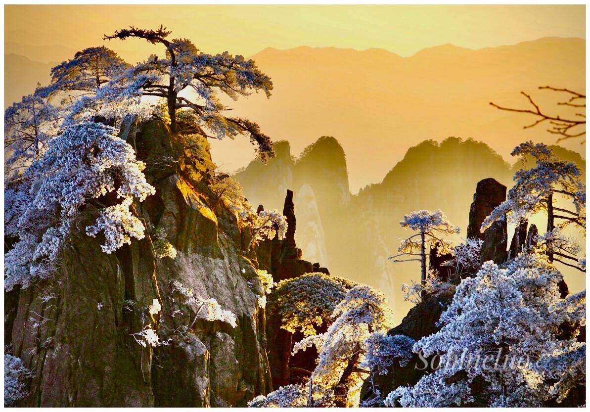 香港中国旅游签约摄影师罗欢莲:难得一遇的" 黄山五绝"奇景