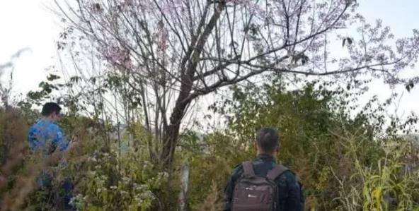 东枝市人口_人口普查图片