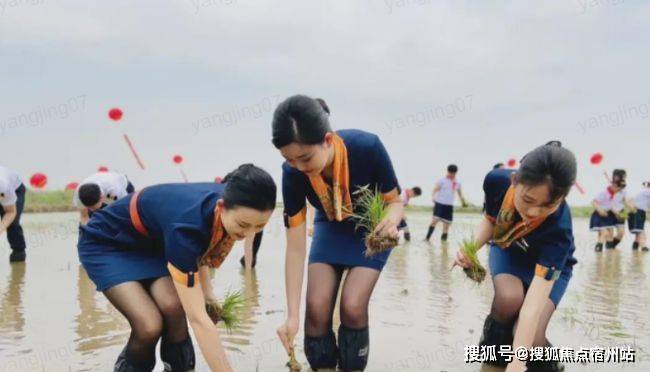 空姐原味内衣_女士原味二手内衣图片(2)