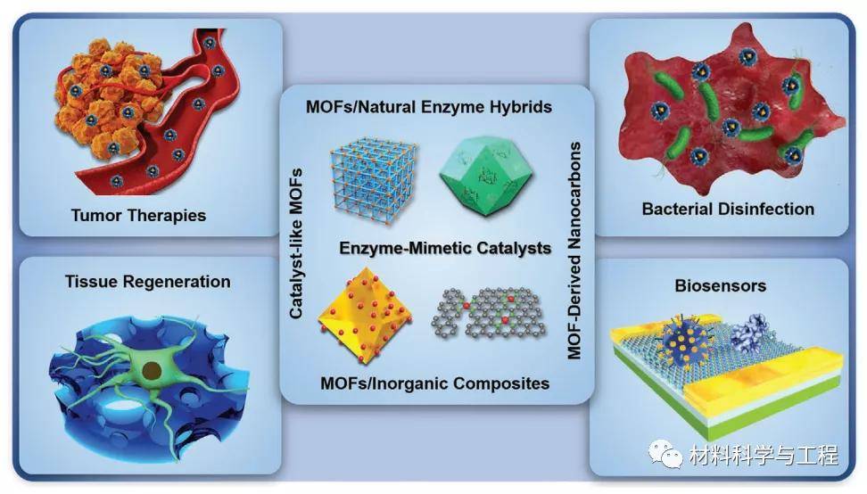 原创川大advmater金属有机骨架mof工程化酶模拟催化剂