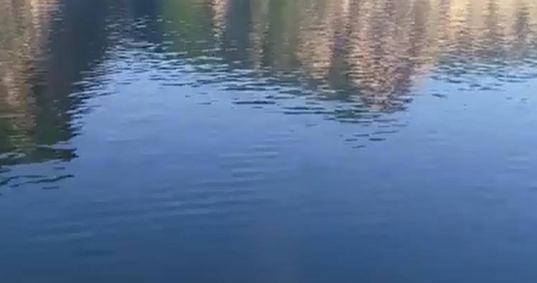 e80710d80b0445efb0cf0803cf253b60.jpeg