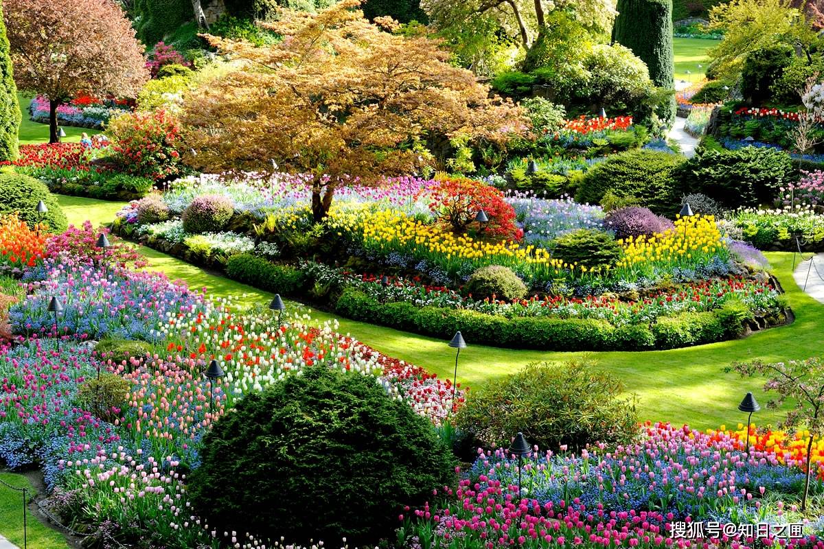 堪比国家公园的世界第二大花园!百花盛放的布查特家族