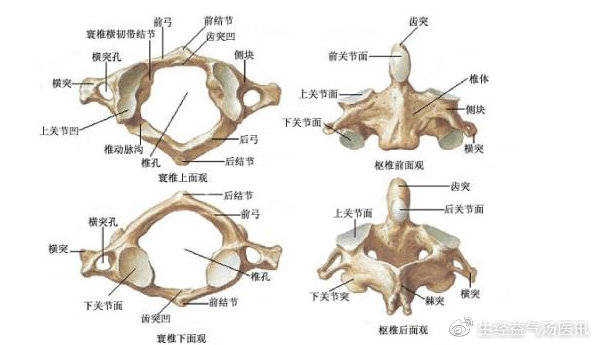 acd3316fabd446428f8105f76d892441.jpeg