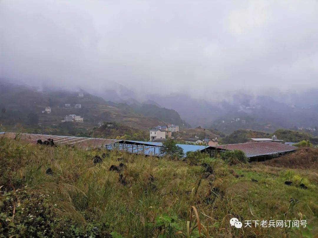 马安山多少人口_马安山花园(2)