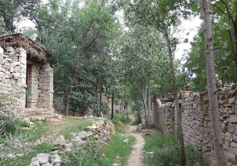 草什么门成语_草什么花什么成语(3)