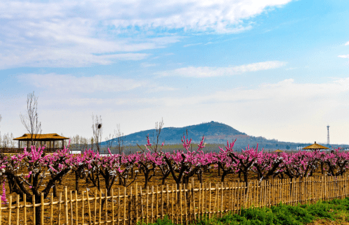 汶上白石镇gdp_汶上白石镇花岗岩磨砂(3)