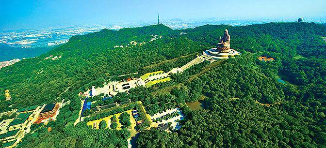 顺德gdp 2020_顺德鱼生(3)