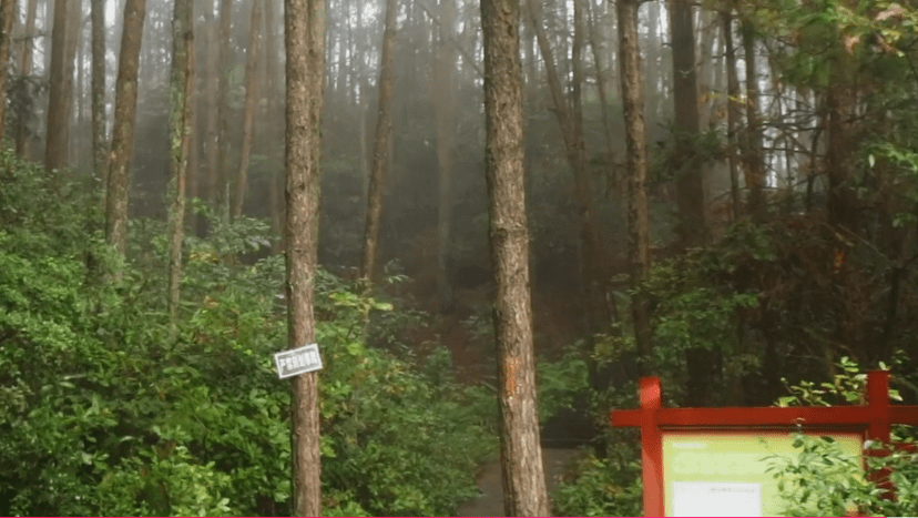 利川在建风景区，云雾袅绕风景美如仙境，堂屋建坟冢人鬼同住