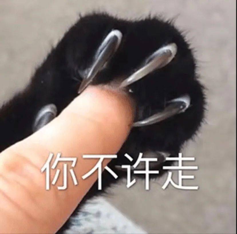 可可爱爱的表情包 ea83c24f7d4b487a9670f08d4de539d8.jpeg