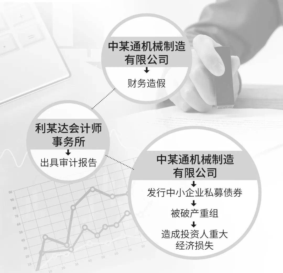这家公司施尽多种手段,让会计师事务所出具内容重大失实的审计报告,将
