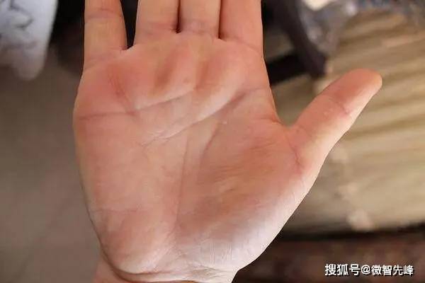 人口手上_人口普查图片(2)