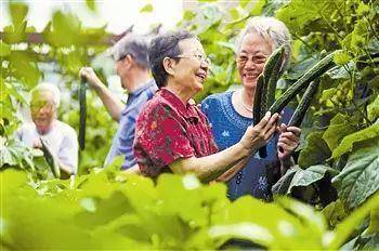 Kaiyun 开云休闲农业的表现形式有哪些？(图5)