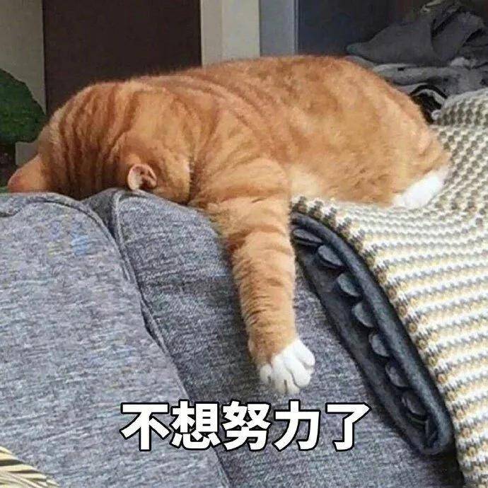 2020年考547分能排名排名_文科一本547分!理科一本535分!2020江西高考分数线出