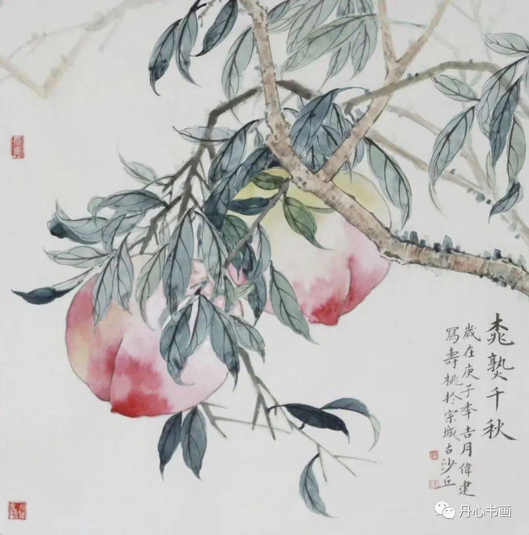 蟠桃献瑞呈吉祥,金玉满堂财源广|没骨花鸟画家许伟建