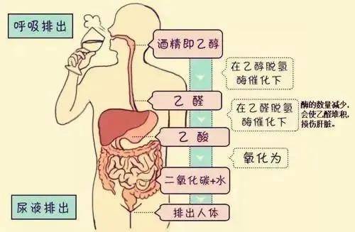 喝过人口_人口普查(3)
