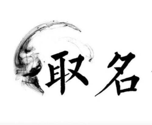 商标取名思路