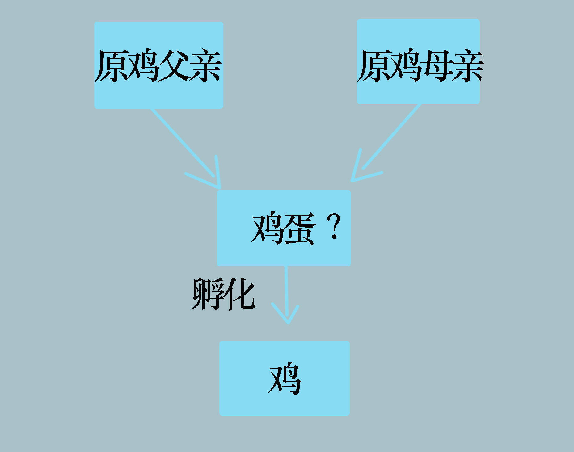 先有鸡还是先有蛋终于有答案了