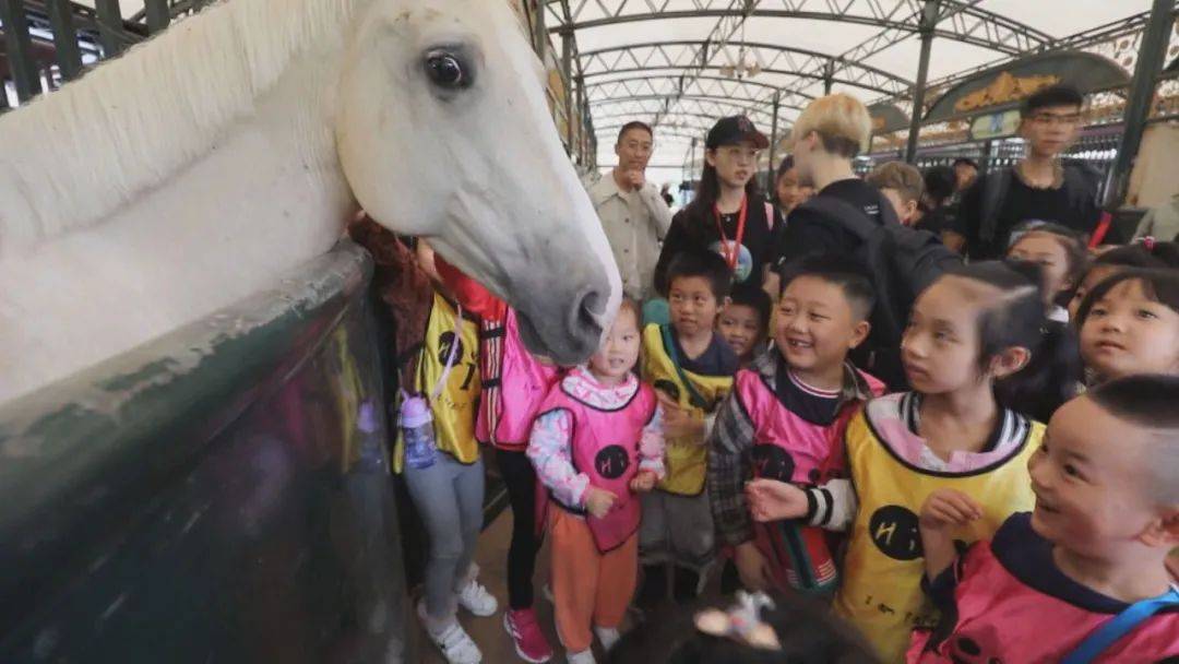 “旅游+体育新玩法” 记者带你走进关岭马术场体验“骑”乐无穷