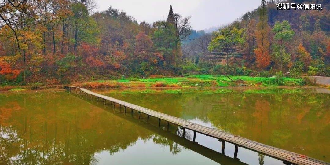 平桥区五里店：乡村振兴看佛山