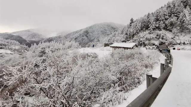 打卡雅安绝佳赏雪地泥巴山泥巴山隧道在四川什么位置泥巴山路况海拔