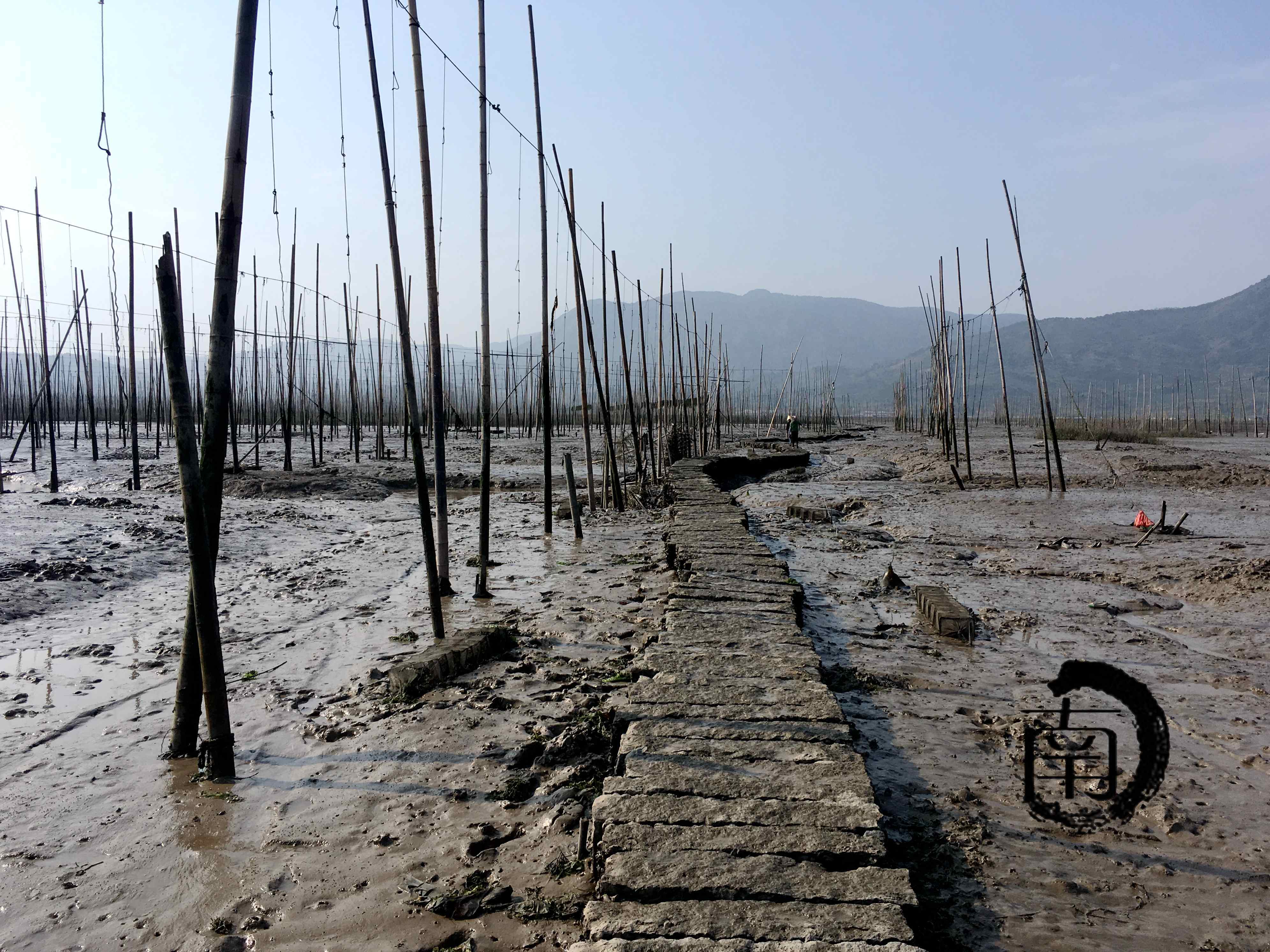 闽霞浦竹江汐路桥