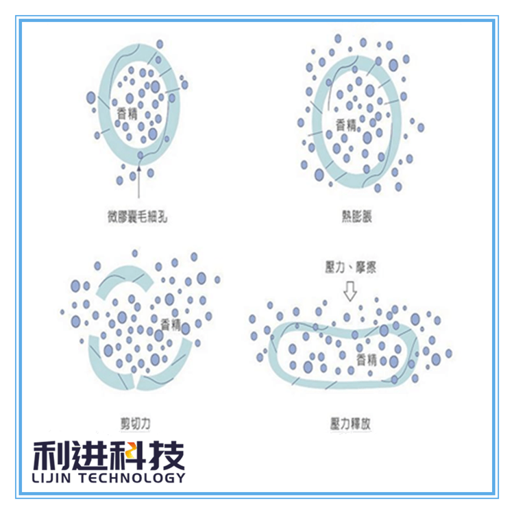 「长效香精微胶囊」你知道自带香味的香香袜的发香原理吗?