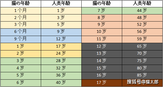 今天这篇文章就教你如何把猫咪年龄换算成人类年龄,并且