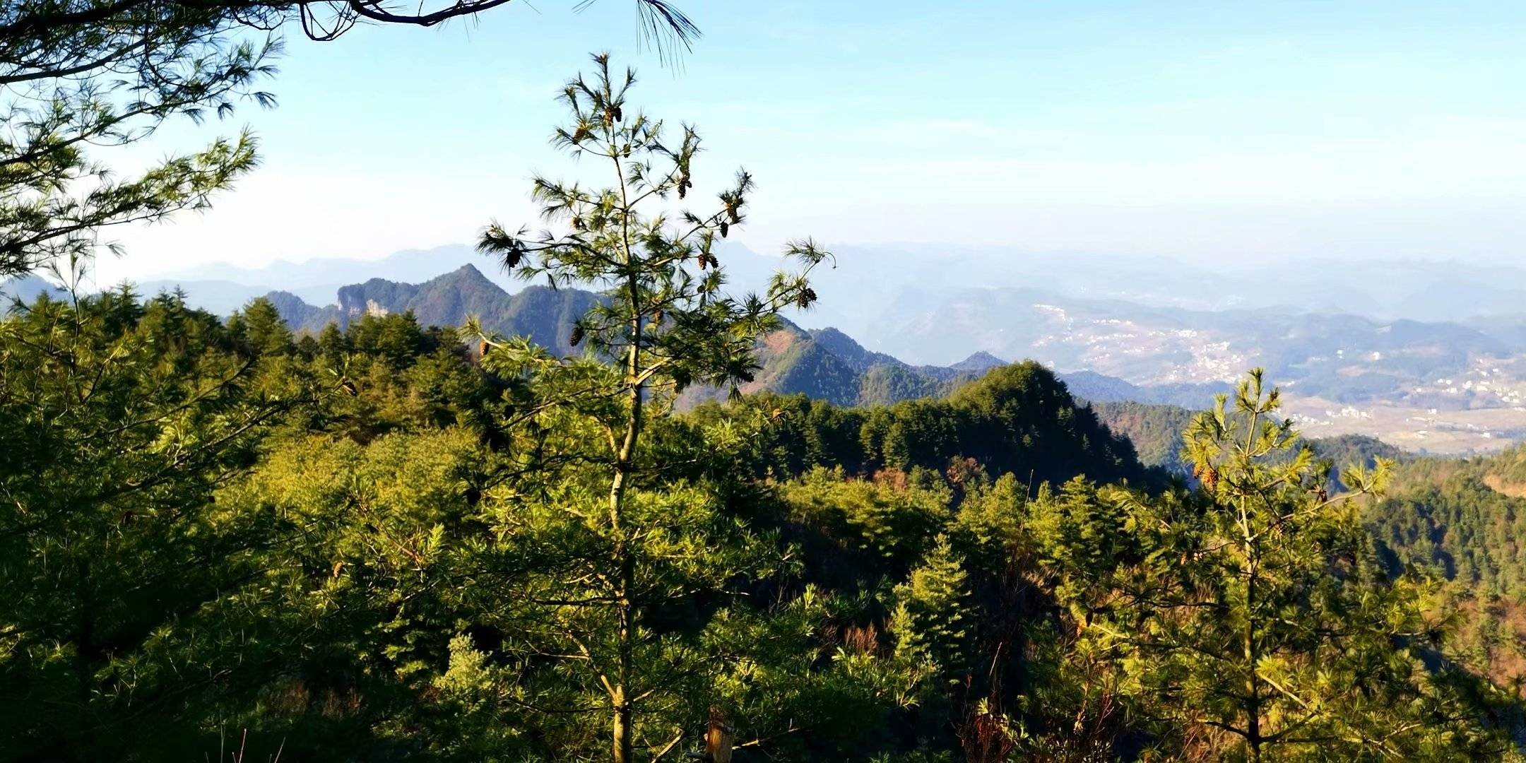 广元尖山子海拔1700米,层峦叠嶂千峰竞秀,来回两个半小时!