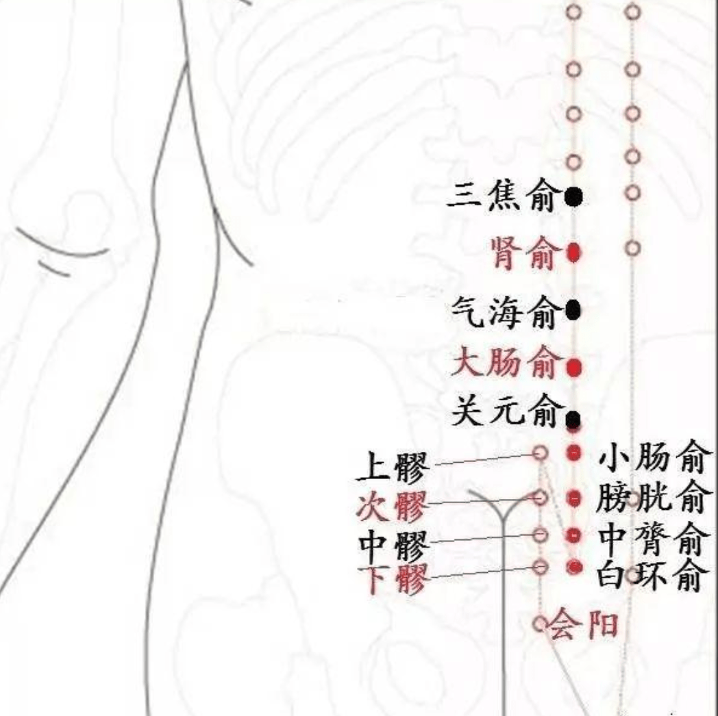 ③,足三里穴:足三里穴是补益大穴,长期艾灸可以使气血双虚的糖尿病