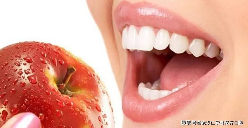 牙齿生来就是为了咀嚼食物,食物经过牙齿磨碎后进入胃部,减轻肠胃消化