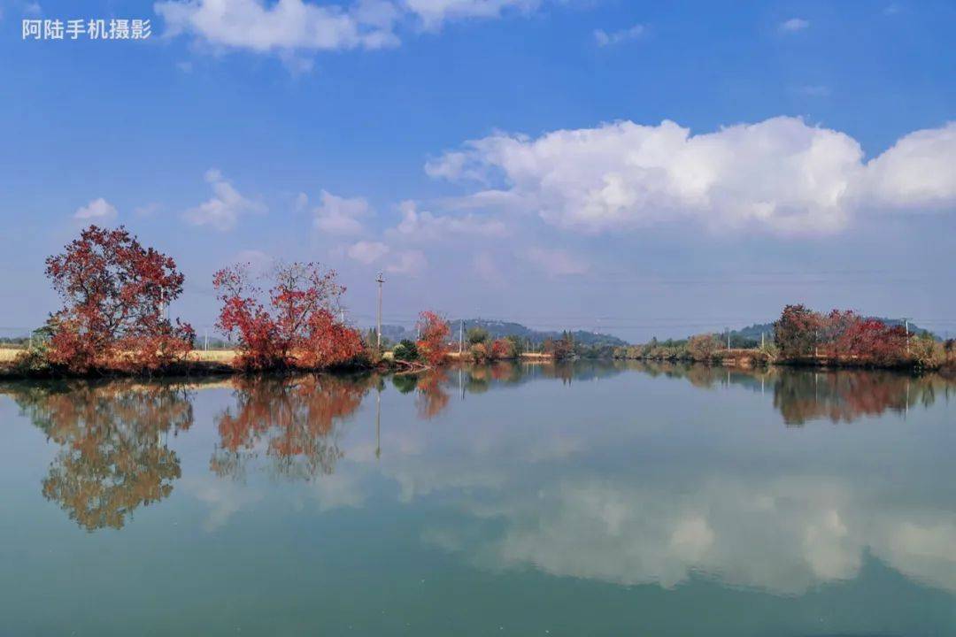 粗粗领略诸暨白塔湖的美丽乡景,和杭州西溪湿地有相似却又大不同