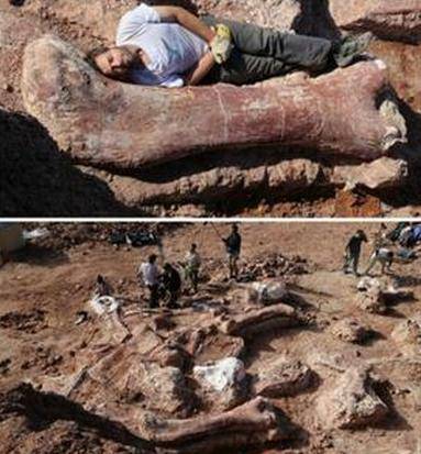 阿根廷又现巨大恐龙化石,比巴塔哥巨龙更大,或是已发掘最大恐龙_手机