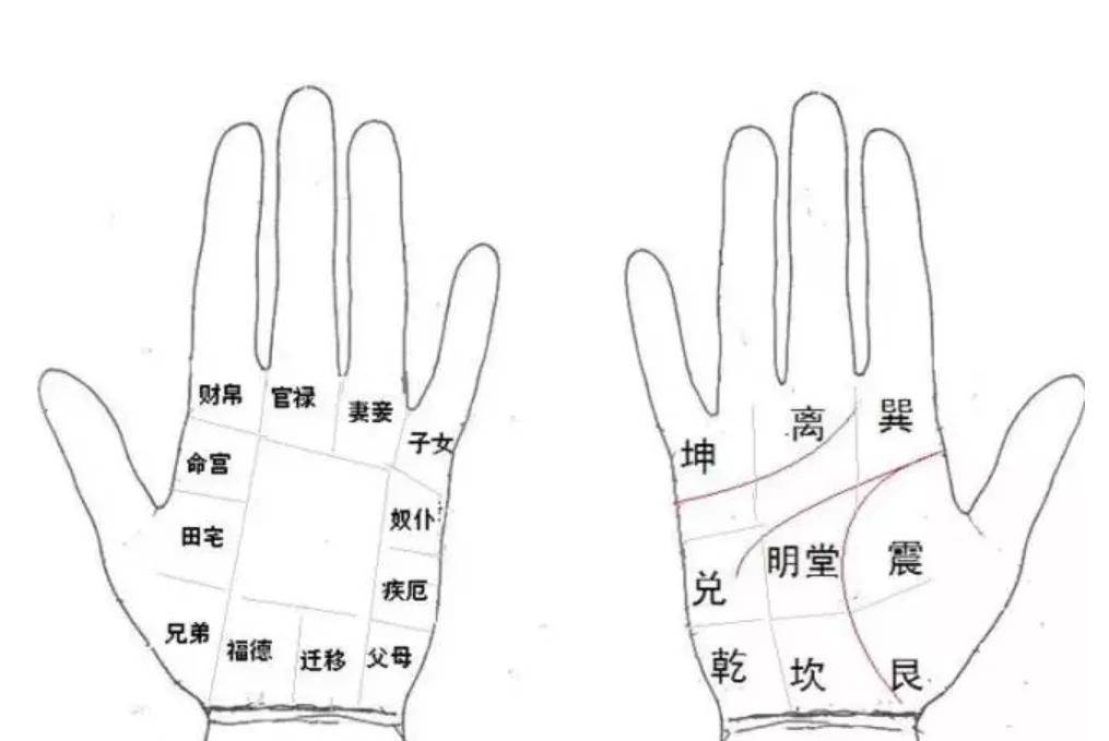 手相中的乾坤八卦:招财还是漏财,看这几个地方就够了