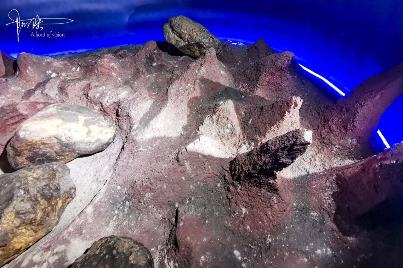 没想到在这么小的博物馆,竟然能看到涵盖各类星体的十多吨的陨石