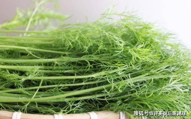原创买茴香,选长的还是短的?菜农:教您一招,以后别乱买了