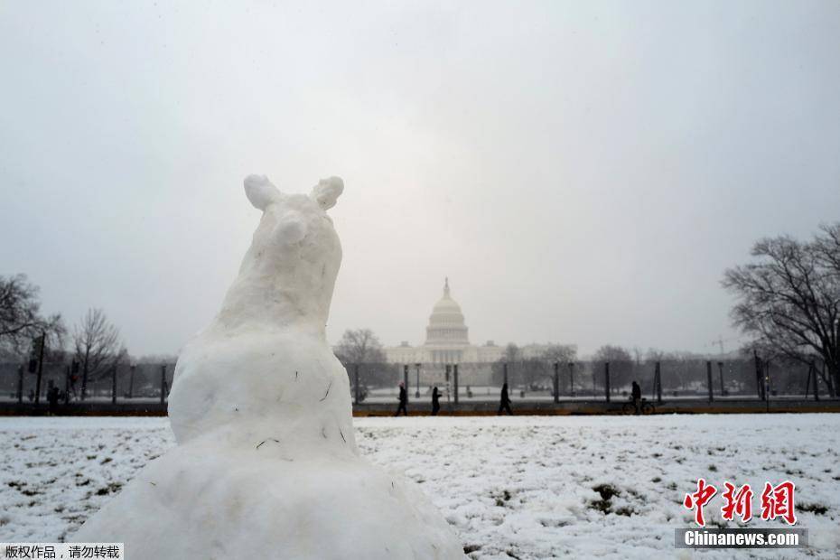 1/ 12 当地时间2021年1月31日,美国华盛顿,当地迎来强暴风雪天气