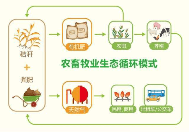 常见的五种循环农业发展模式,具有较好的社会效益,经济效益和生态效益