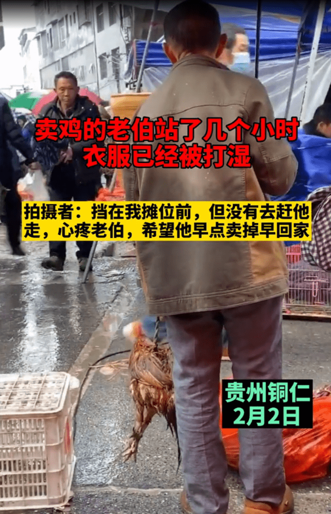 贵州铜仁老伯在雨中卖鸡一站就是几个小时鸡比人落魄