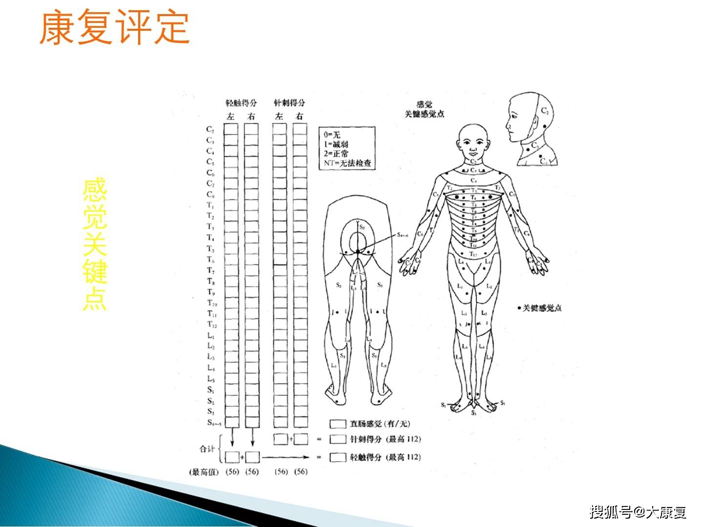 脊髓损伤的步行功能训练