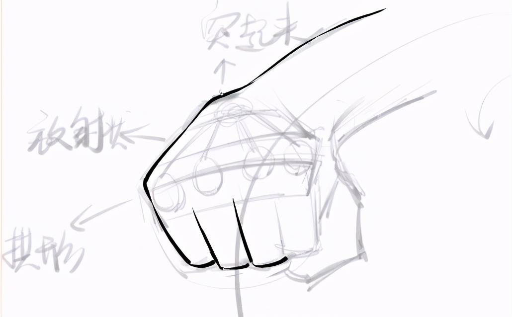 动漫人物握拳的手怎么画超实用动漫握拳姿势画法一看就会