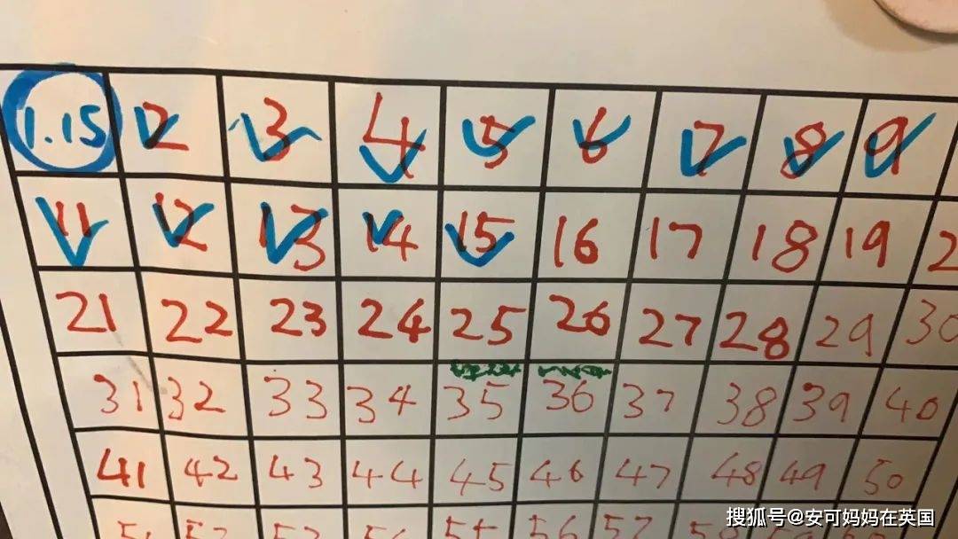 宸宸自制的教案打卡活动记录表