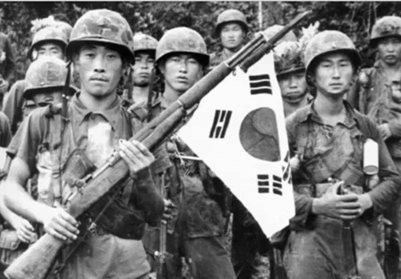 青龙猛虎与白马越南战争中凶悍的韩国军队