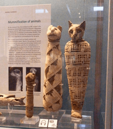 女神巴斯特(bastet)是古埃及神话中受人崇拜的猫神.