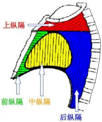 纵隔肿瘤是怎么回事