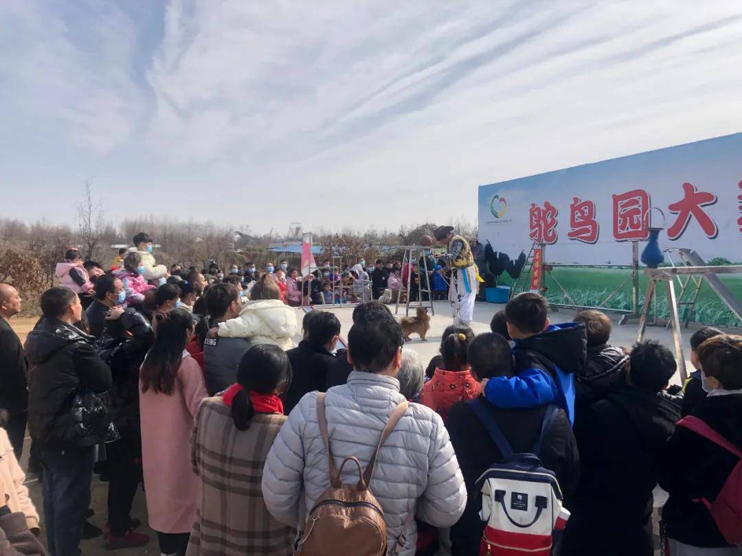 好想你金鹭鸵鸟园春节人气火爆精彩持续至正月十六有奖征集投稿等您