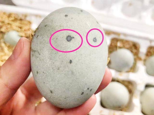 原创买皮蛋时牢记一摸二看三摇晃掌握了不怕买到劣质皮蛋