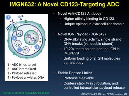 imgn632的作用机制(图片来源,immunogen公司宣传材料))