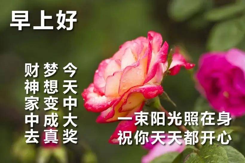 原创早上好!新的一天,祝福图片,祝事事顺心如意,愿你开心快乐