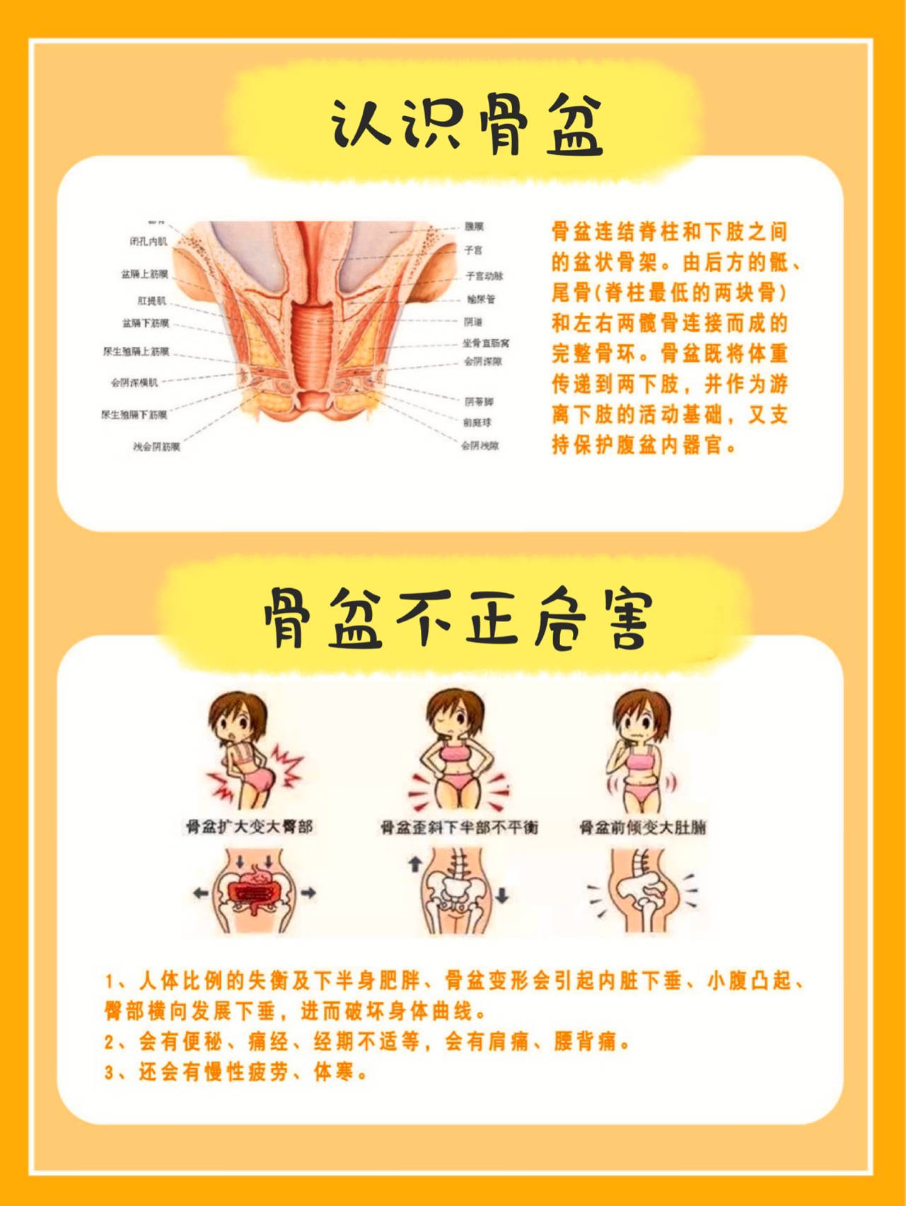 骨盆肌盆底肌腹直肌三大产后修复全解析