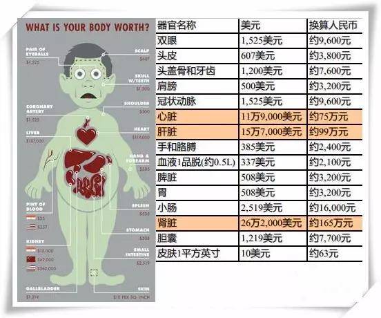 人体器官的交易比起合法渠道甚至更多样化,价格好商量,有折扣,还不用